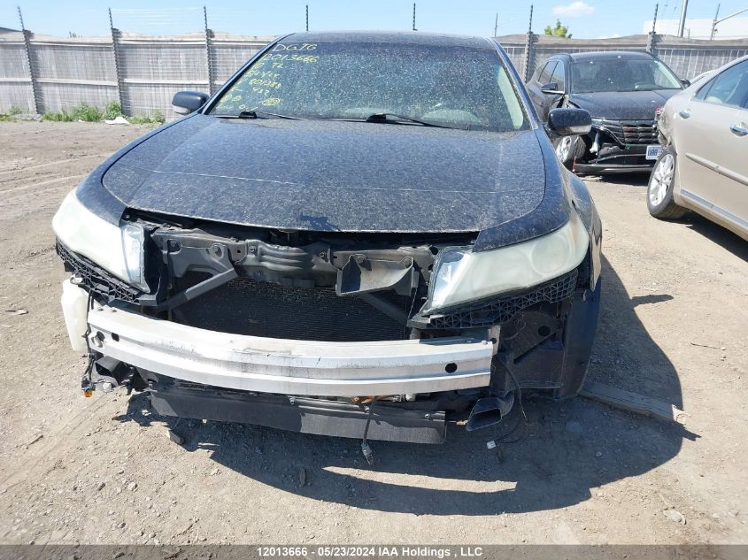 2010 Acura Tl VIN: 19UUA9F58AA801388 Lot: 12013666