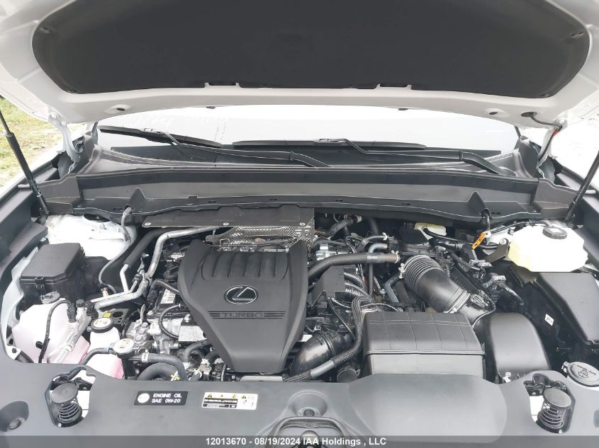 2024 Lexus Tx 500H VIN: 5TDABAB66RS004005 Lot: 12013670