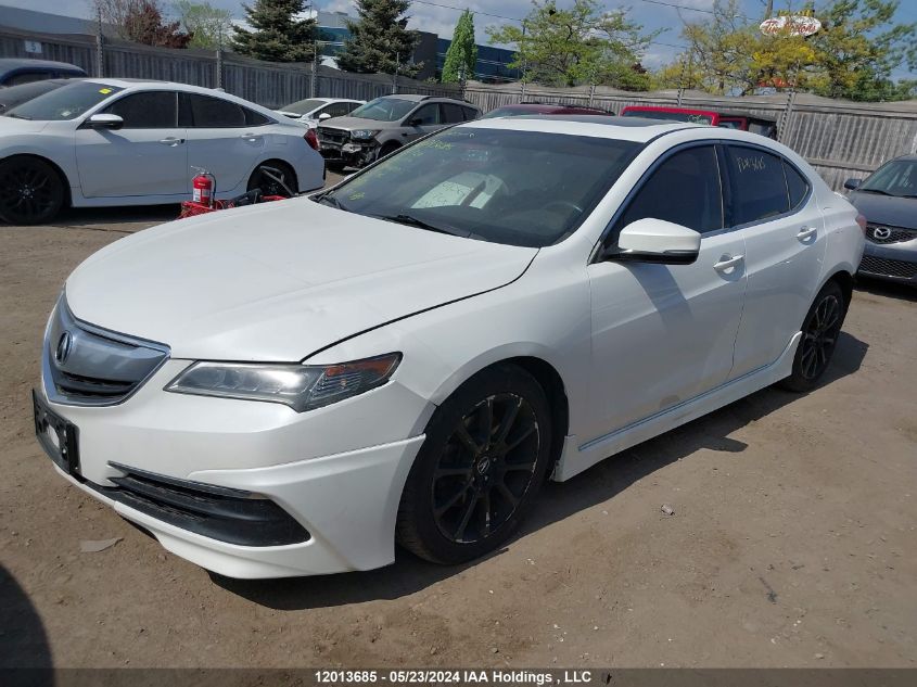 2015 Acura Tlx VIN: 19UUB3F58FA801697 Lot: 12013685