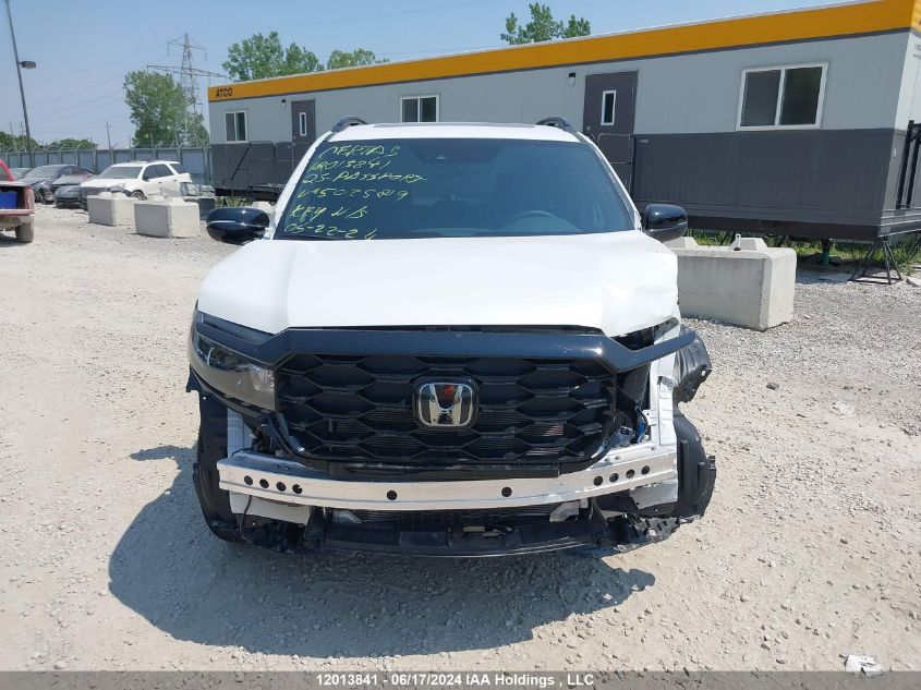 2023 Honda Passport Touring VIN: 5FNYF8H98PB502589 Lot: 12013841