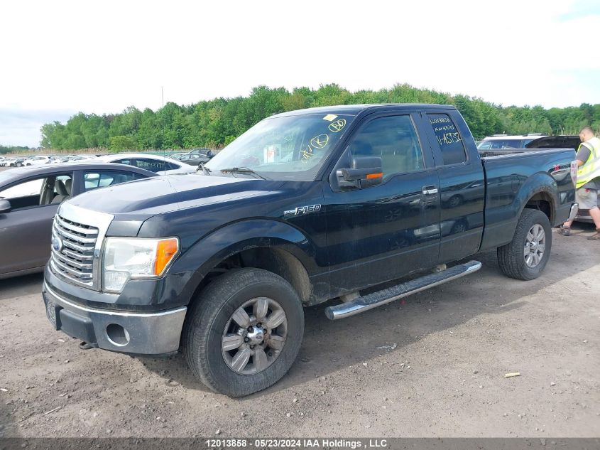 2010 Ford F150 Super Cab VIN: 1FTFX1EV7AFA59352 Lot: 12013858