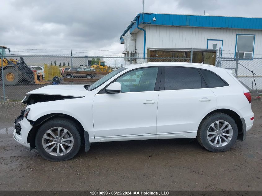 2014 Audi Q5 VIN: WA1LFCFPXEA014808 Lot: 12013899