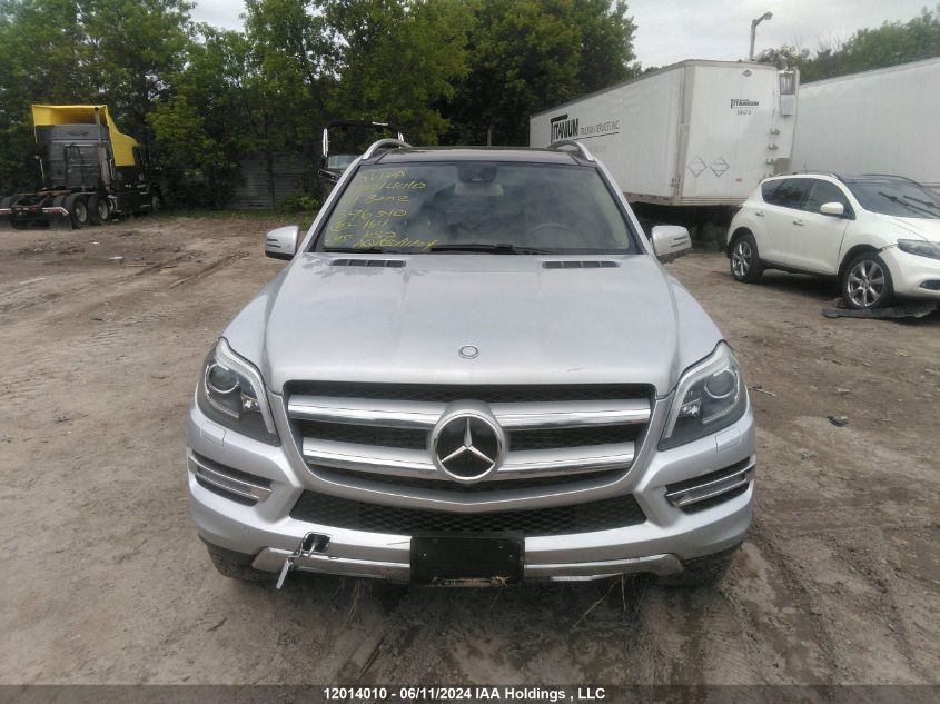 2014 Mercedes-Benz Gl-Class VIN: 4JGDF2EE9EA396510 Lot: 12014010