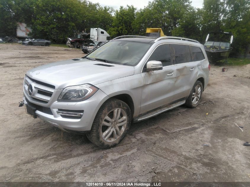 2014 Mercedes-Benz Gl-Class VIN: 4JGDF2EE9EA396510 Lot: 12014010