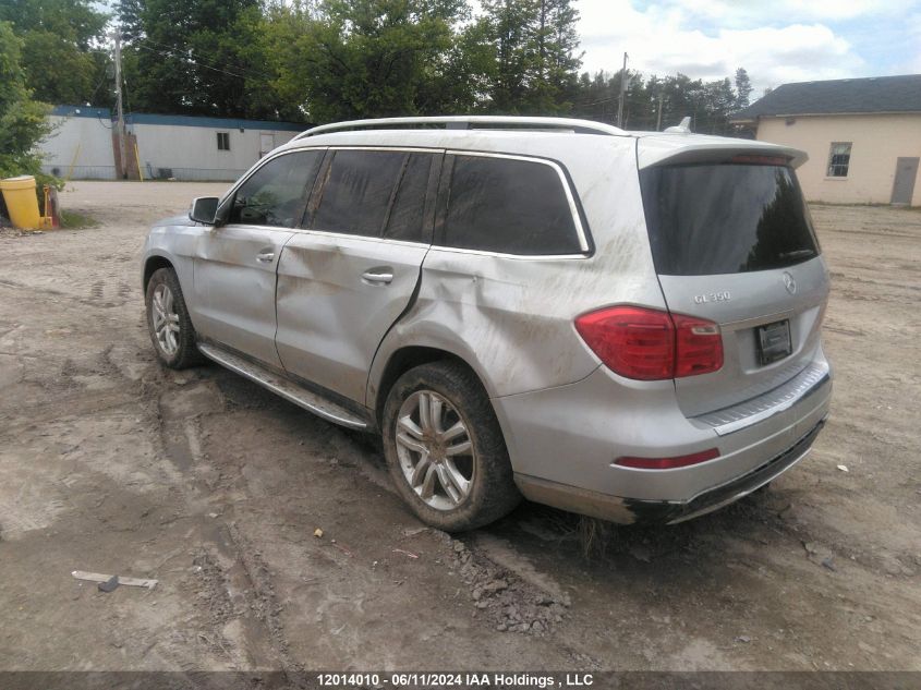 2014 Mercedes-Benz Gl-Class VIN: 4JGDF2EE9EA396510 Lot: 12014010