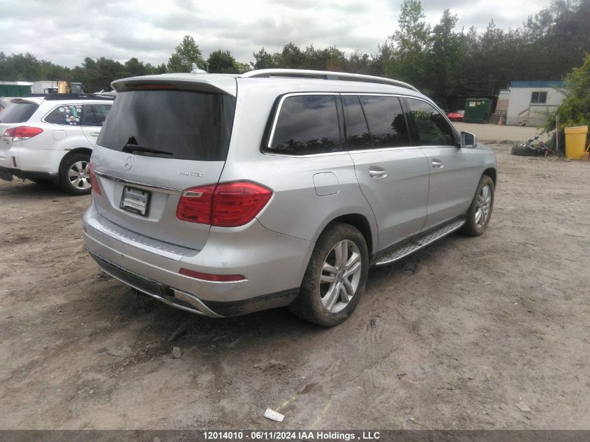 2014 Mercedes-Benz Gl-Class VIN: 4JGDF2EE9EA396510 Lot: 12014010