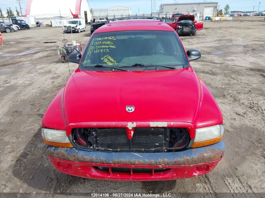 2000 Dodge Durango VIN: 1B4HS28N2YF181813 Lot: 12014106