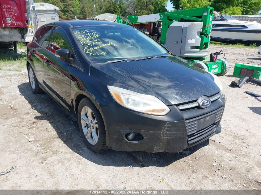 2013 Ford Focus Se VIN: 1FADP3K2XDL256895 Lot: 12014112