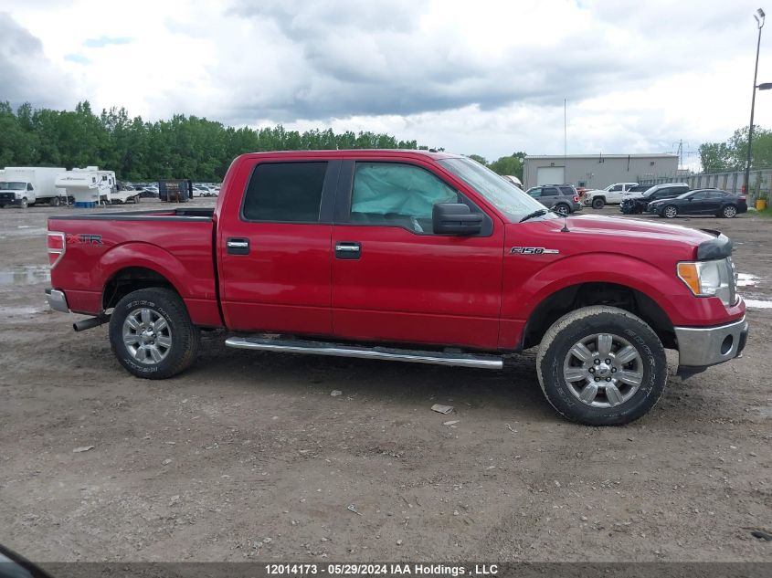 2011 Ford F-150 Xlt VIN: 1FTFW1EF5BFA23074 Lot: 12014173