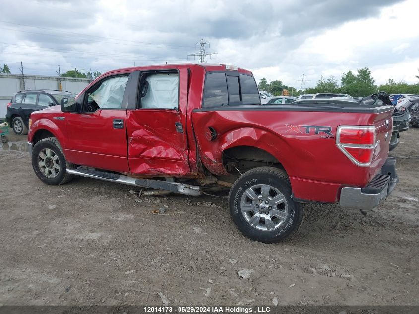 2011 Ford F-150 Xlt VIN: 1FTFW1EF5BFA23074 Lot: 12014173