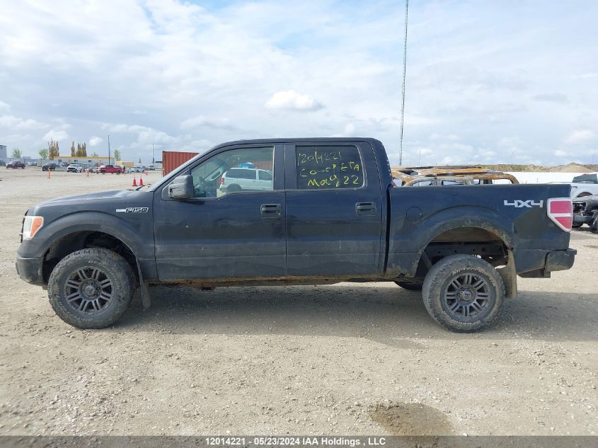 2010 Ford F150 Supercrew VIN: 1FTFW1EVXAFA05675 Lot: 12014221