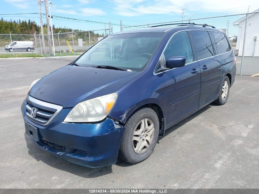 2005 Honda Odyssey VIN: 5FNRL38625B509833 Lot: 12014314