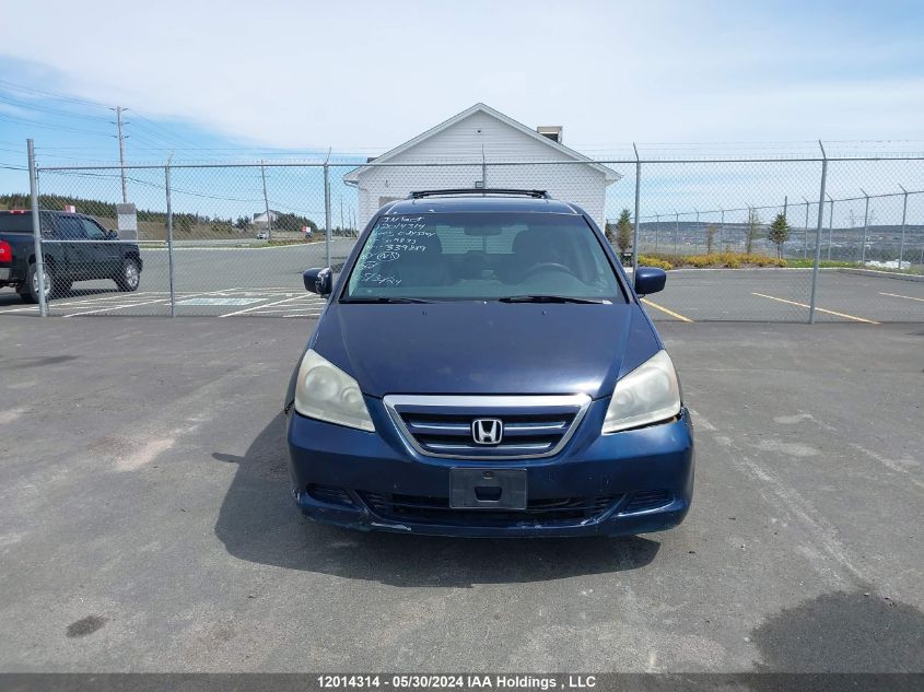 2005 Honda Odyssey VIN: 5FNRL38625B509833 Lot: 12014314