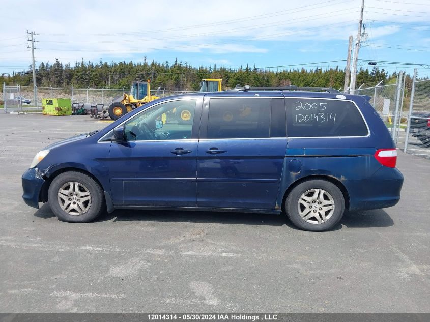 2005 Honda Odyssey VIN: 5FNRL38625B509833 Lot: 12014314