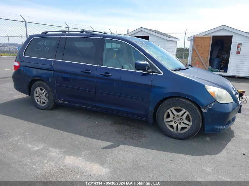 2005 Honda Odyssey VIN: 5FNRL38625B509833 Lot: 12014314