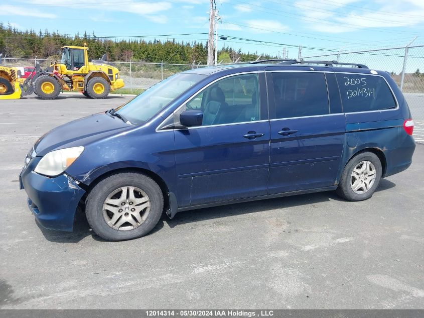 2005 Honda Odyssey VIN: 5FNRL38625B509833 Lot: 12014314