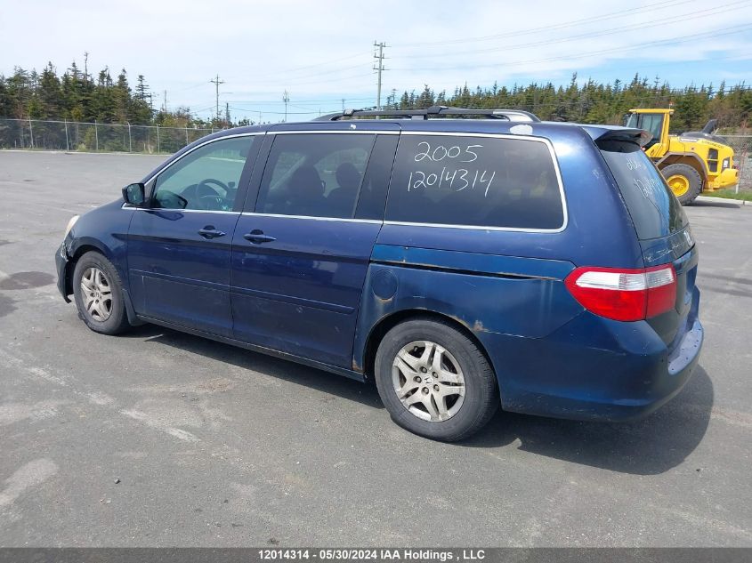 2005 Honda Odyssey VIN: 5FNRL38625B509833 Lot: 12014314