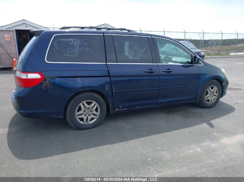 2005 Honda Odyssey VIN: 5FNRL38625B509833 Lot: 12014314