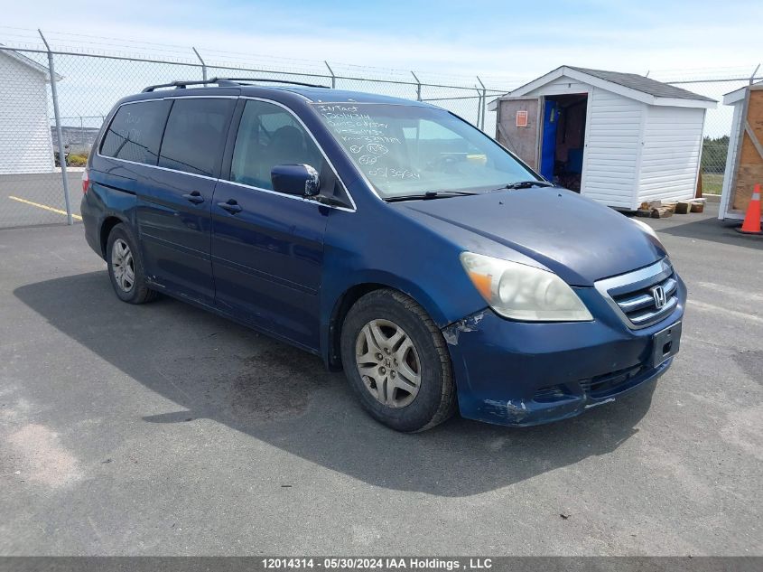 2005 Honda Odyssey VIN: 5FNRL38625B509833 Lot: 12014314