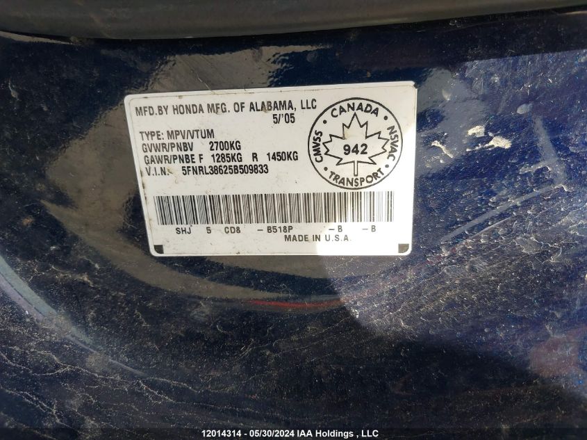 2005 Honda Odyssey VIN: 5FNRL38625B509833 Lot: 12014314