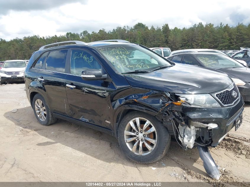 2013 Kia Sorento VIN: 5XYKWDA26DG361652 Lot: 12014402