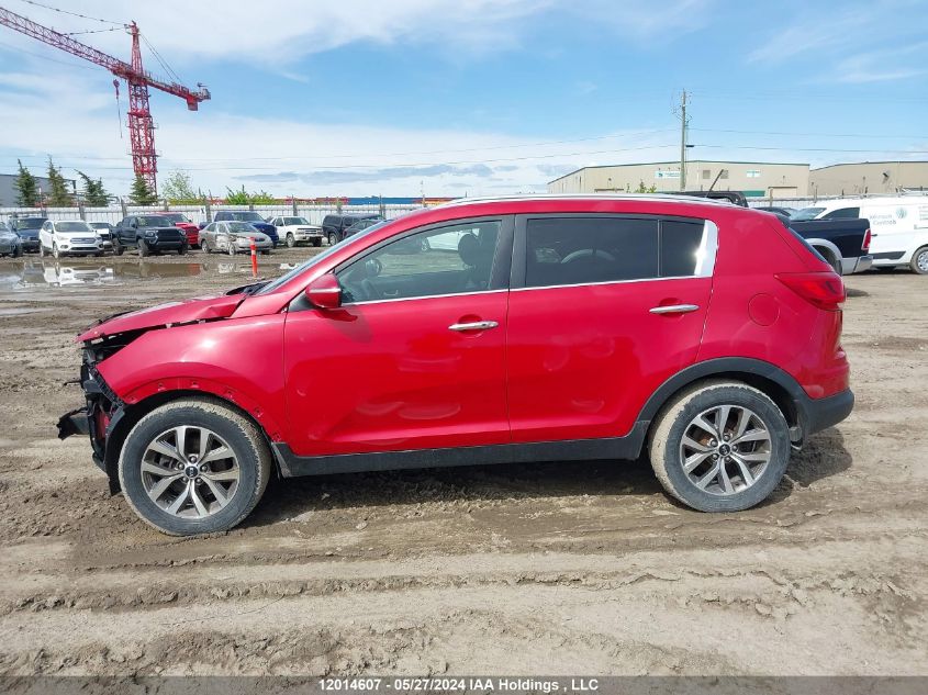 2014 Kia Sportage Ex VIN: KNDPCCAC5E7590551 Lot: 12014607