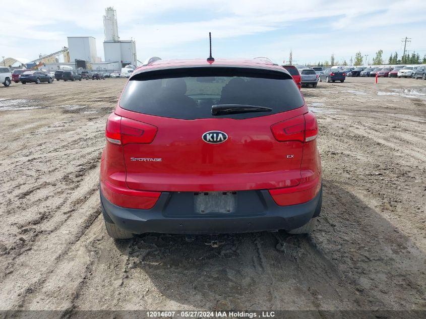 2014 Kia Sportage Ex VIN: KNDPCCAC5E7590551 Lot: 12014607