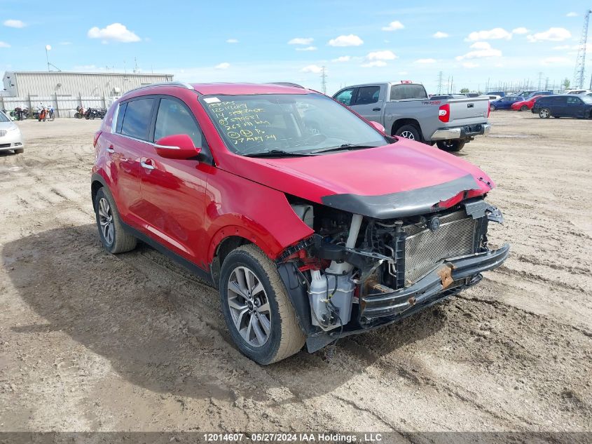 2014 Kia Sportage Ex VIN: KNDPCCAC5E7590551 Lot: 12014607