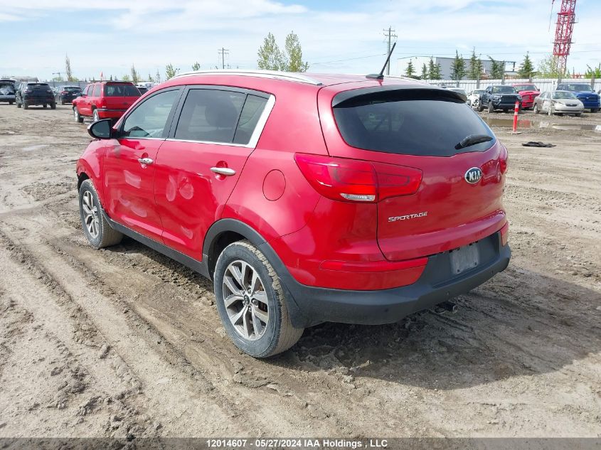 2014 Kia Sportage Ex VIN: KNDPCCAC5E7590551 Lot: 12014607