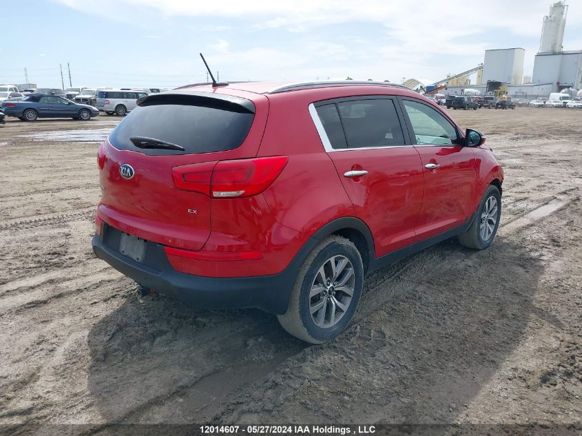 2014 Kia Sportage Ex VIN: KNDPCCAC5E7590551 Lot: 12014607