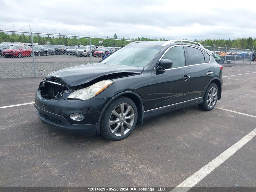 2009 Infiniti Ex35 Journey VIN: JNKAJ09F69M950103 Lot: 12014629