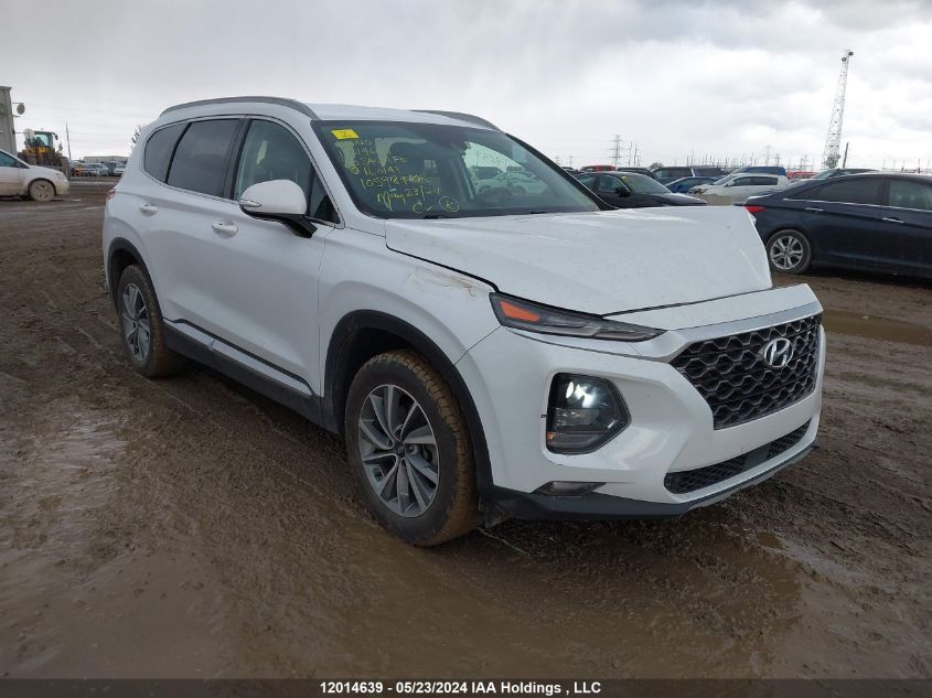 2020 Hyundai Santa Fe VIN: 5NMS3CAD5LH160141 Lot: 12014639