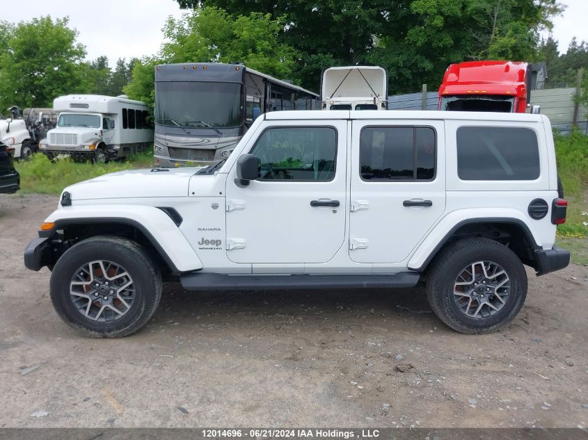 2024 Jeep Wrangler Sahara VIN: 1C4PJXEN0RW113014 Lot: 12014696