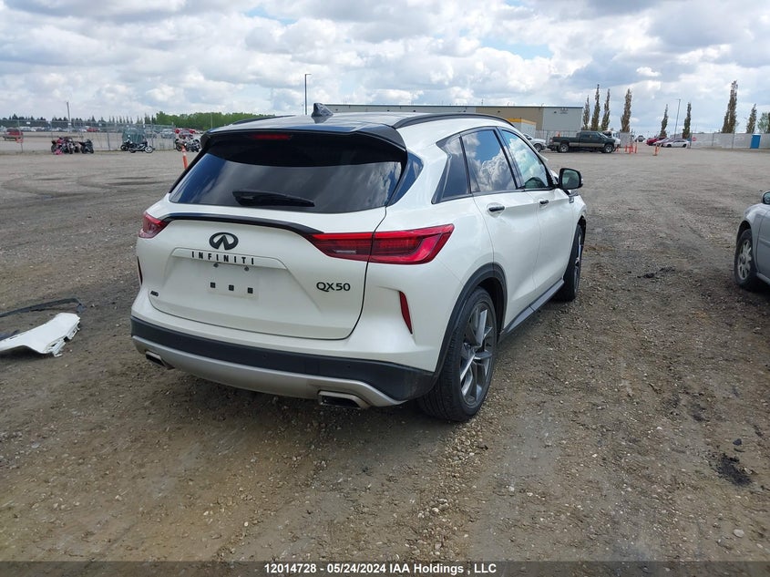 2019 Infiniti Qx50 VIN: 3PCAJ5M3XKF142475 Lot: 12014728