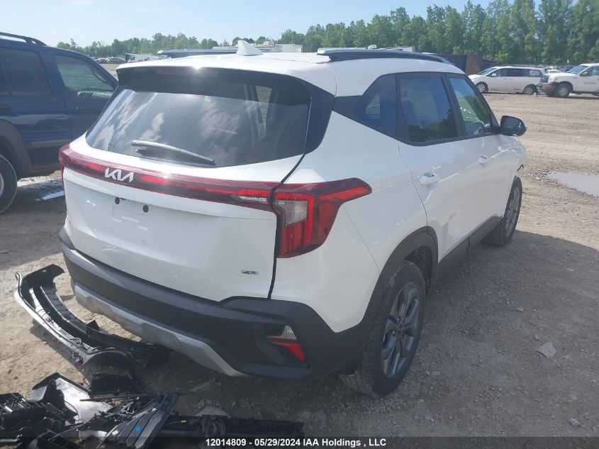 2024 Kia Seltos VIN: KNDEPCAA0R7600127 Lot: 12014809