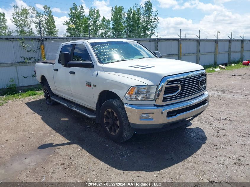 2010 Dodge Ram 2500 VIN: 3D7TT2CT3AG181068 Lot: 12014821