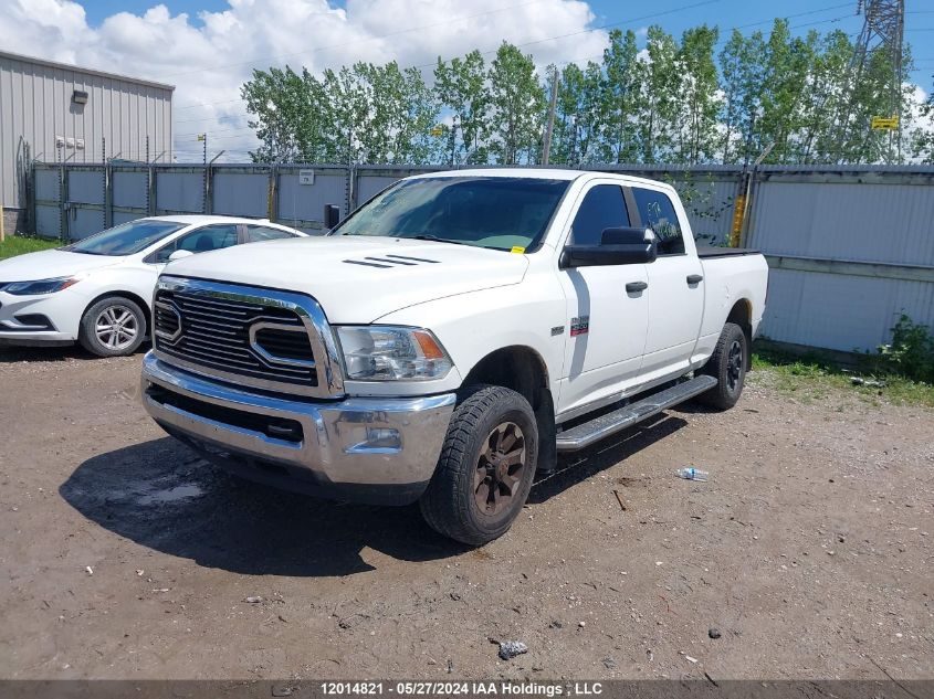 2010 Dodge Ram 2500 VIN: 3D7TT2CT3AG181068 Lot: 12014821