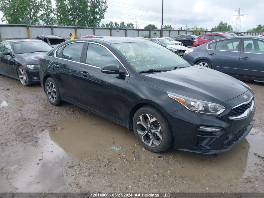 2020 Kia Forte VIN: 3KPF54AD0LE232405 Lot: 12014866