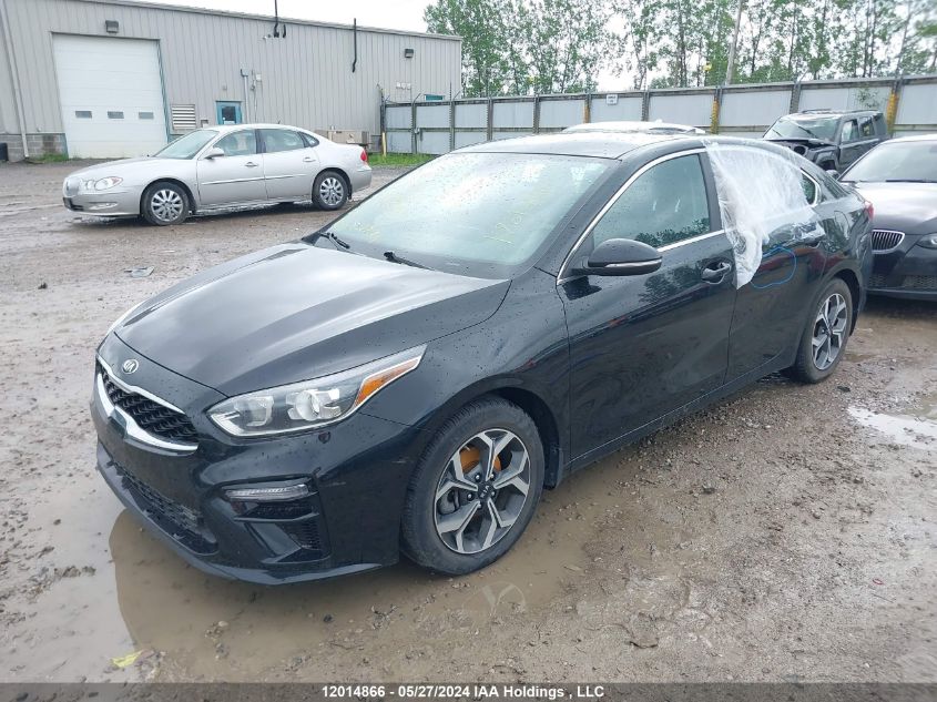 2020 Kia Forte VIN: 3KPF54AD0LE232405 Lot: 12014866