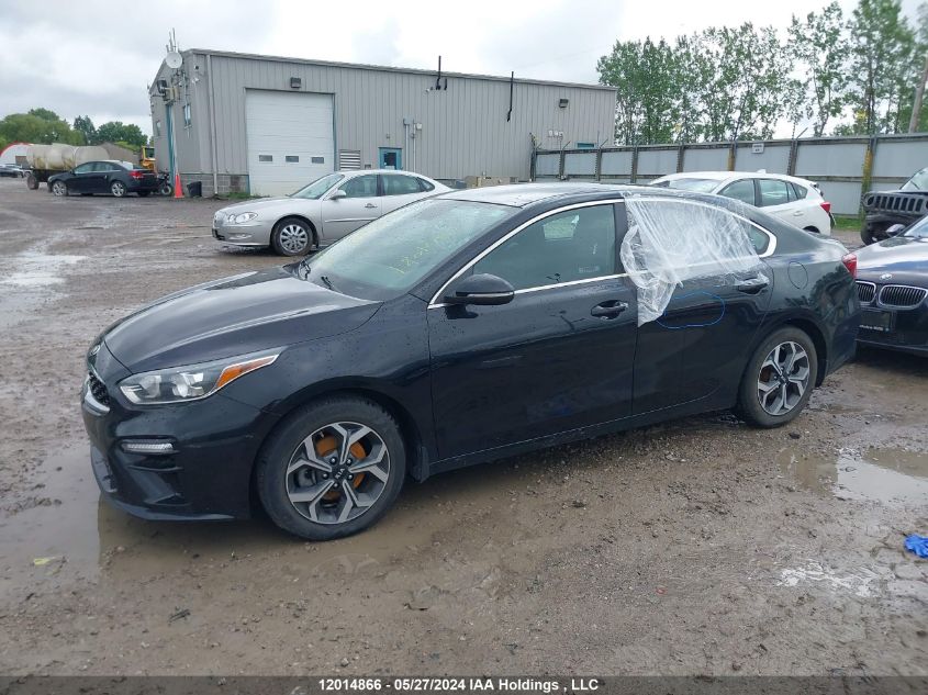 2020 Kia Forte VIN: 3KPF54AD0LE232405 Lot: 12014866