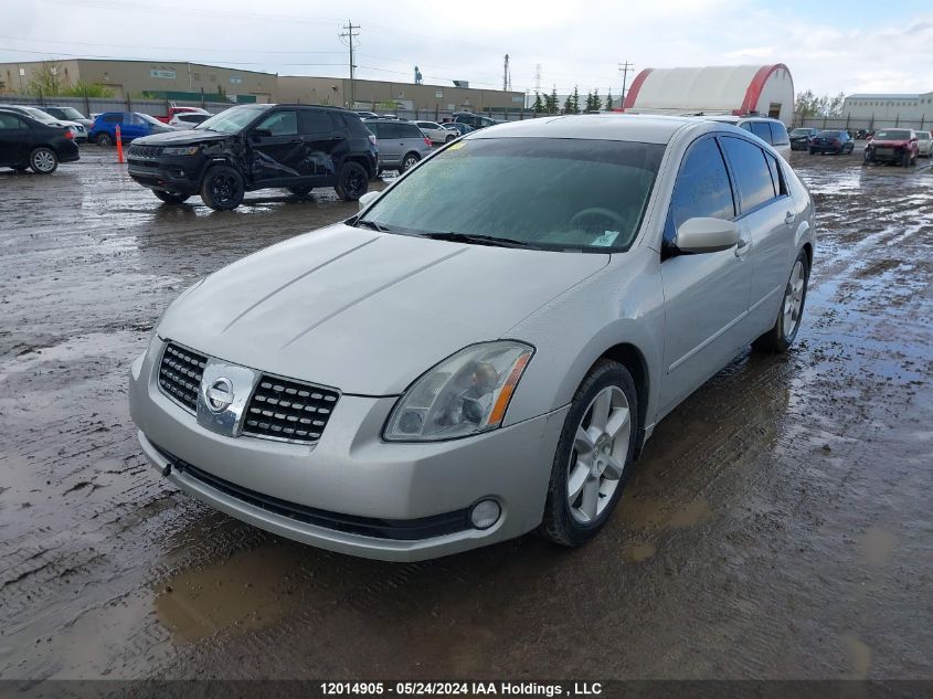 2004 Nissan Maxima Se/Sl VIN: 1N4BA41E14C866162 Lot: 12014905