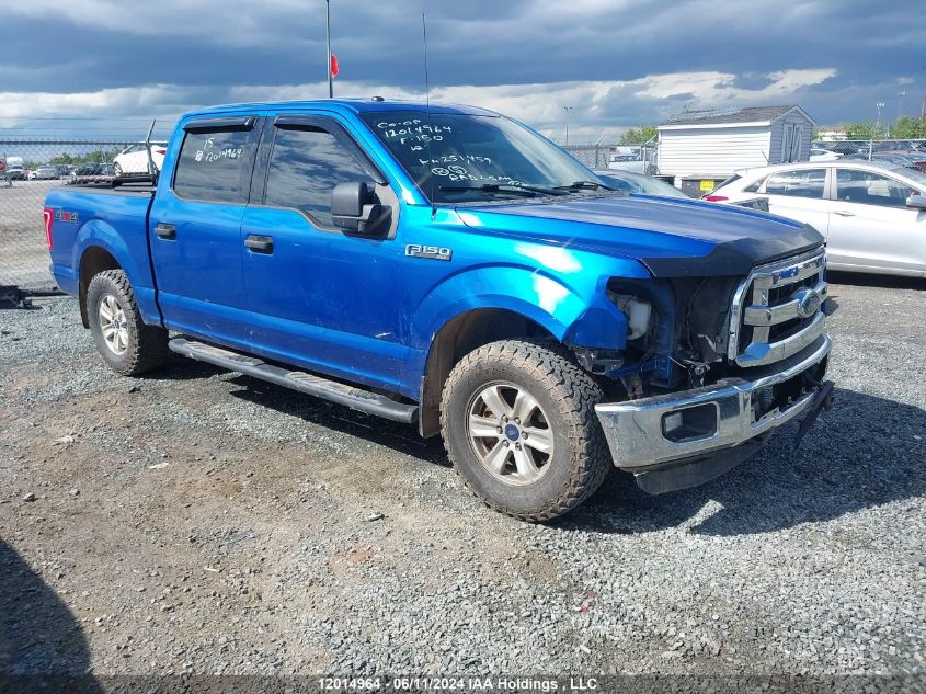 2015 Ford F-150 Xlt VIN: 1FTEW1E80FFA91513 Lot: 12014964