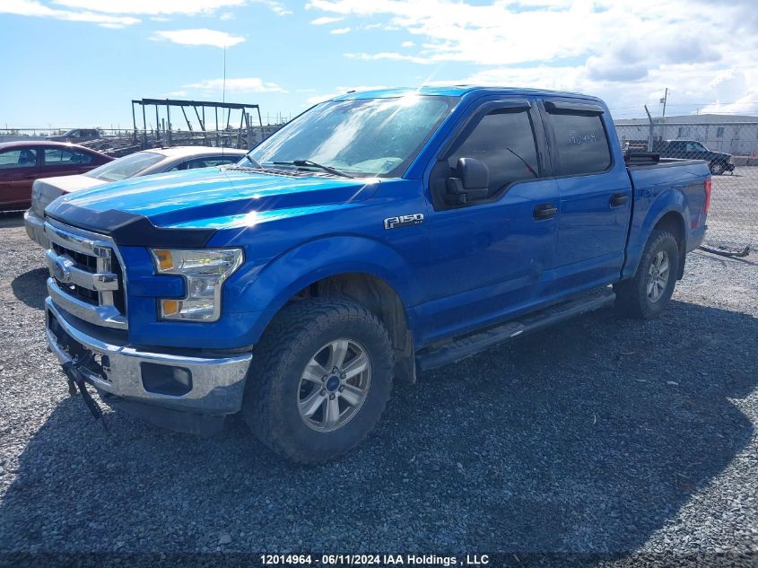 2015 Ford F-150 Xlt VIN: 1FTEW1E80FFA91513 Lot: 12014964