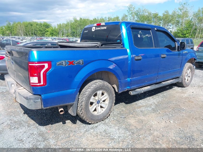 2015 Ford F-150 Xlt VIN: 1FTEW1E80FFA91513 Lot: 12014964