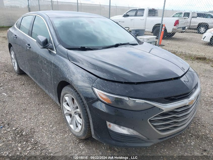 2021 Chevrolet Malibu Lt VIN: 1G1ZD5ST8MF036207 Lot: 12015015