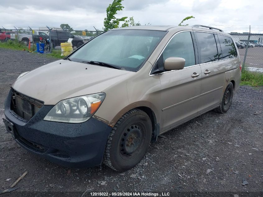 2007 Honda Odyssey VIN: 5FNRL38687B512044 Lot: 12015022