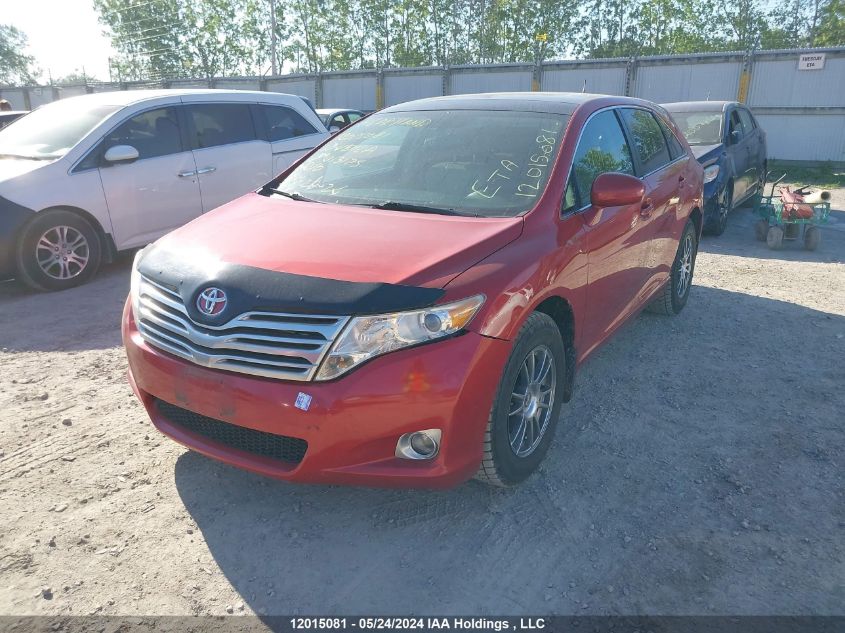 2010 Toyota Venza VIN: 4T3BA3BB6AU013175 Lot: 12015081