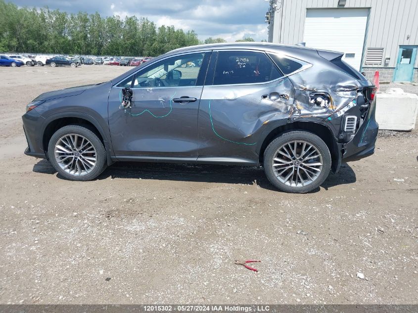 2022 Lexus Nx 350H VIN: JTJGKCEZ5N2004121 Lot: 12015302