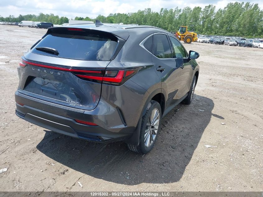 2022 Lexus Nx 350H VIN: JTJGKCEZ5N2004121 Lot: 12015302