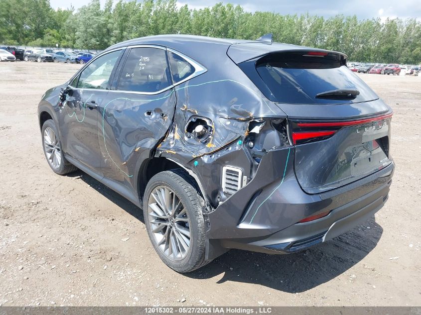 2022 Lexus Nx 350H VIN: JTJGKCEZ5N2004121 Lot: 12015302